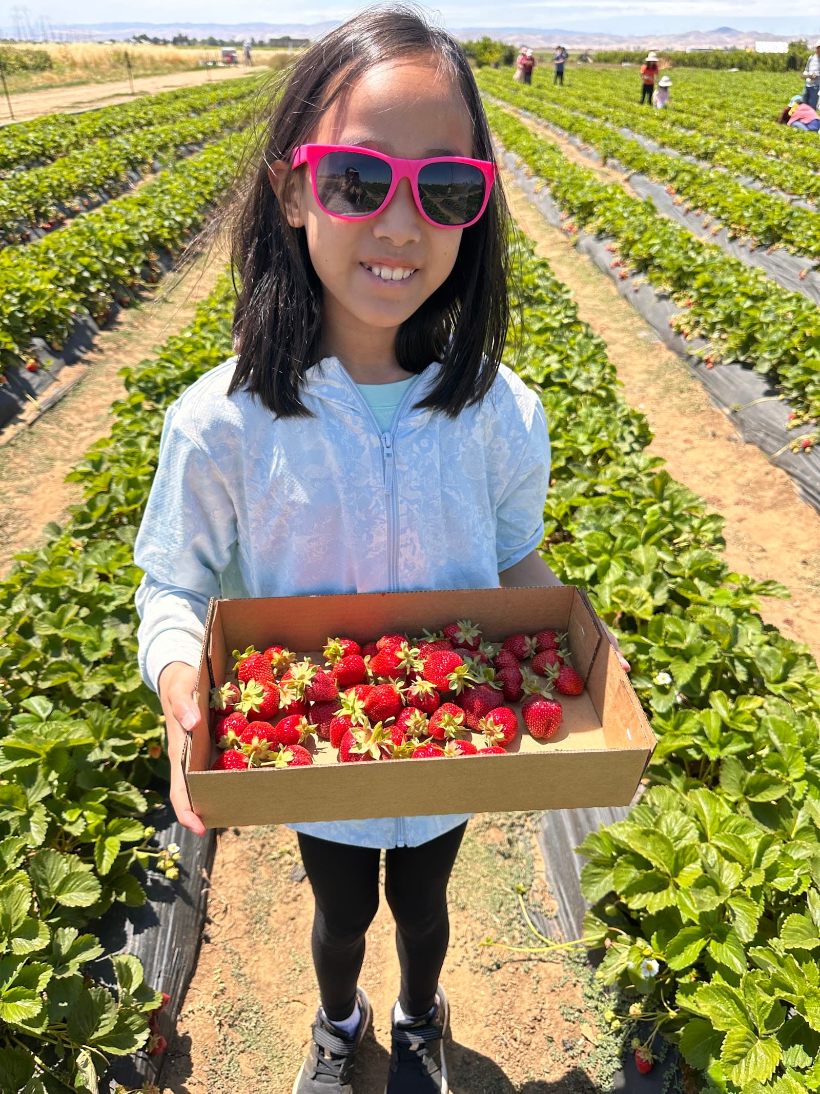 Ah-May’s Strawberry U-Pick u-pick farm
