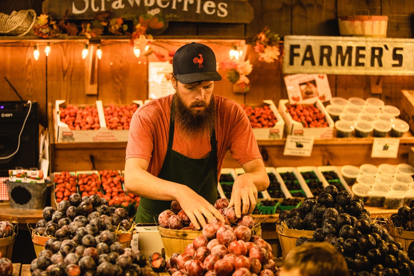 Avila Valley Barn u-pick farm