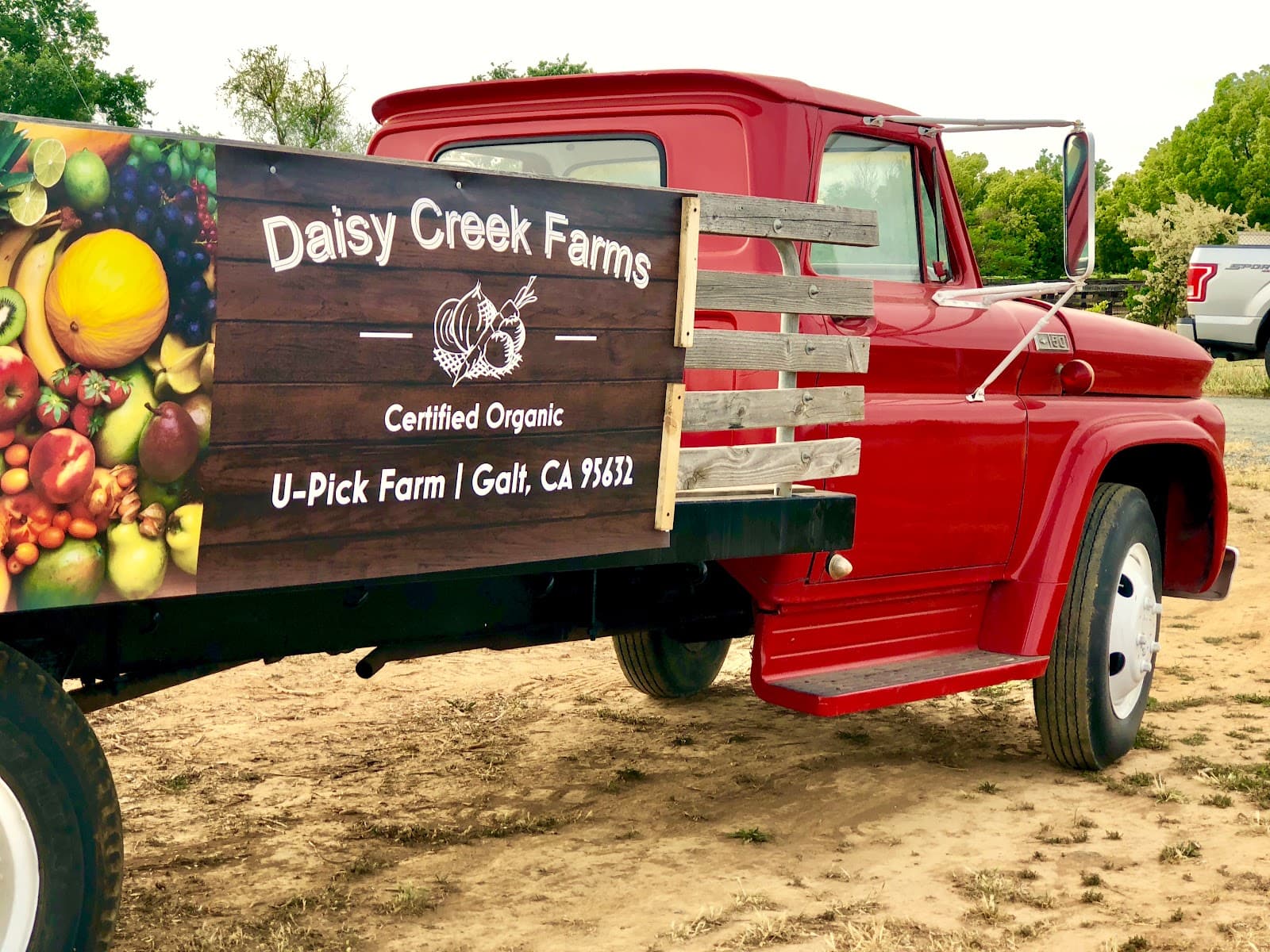 Daisy Creek Farms u-pick farm