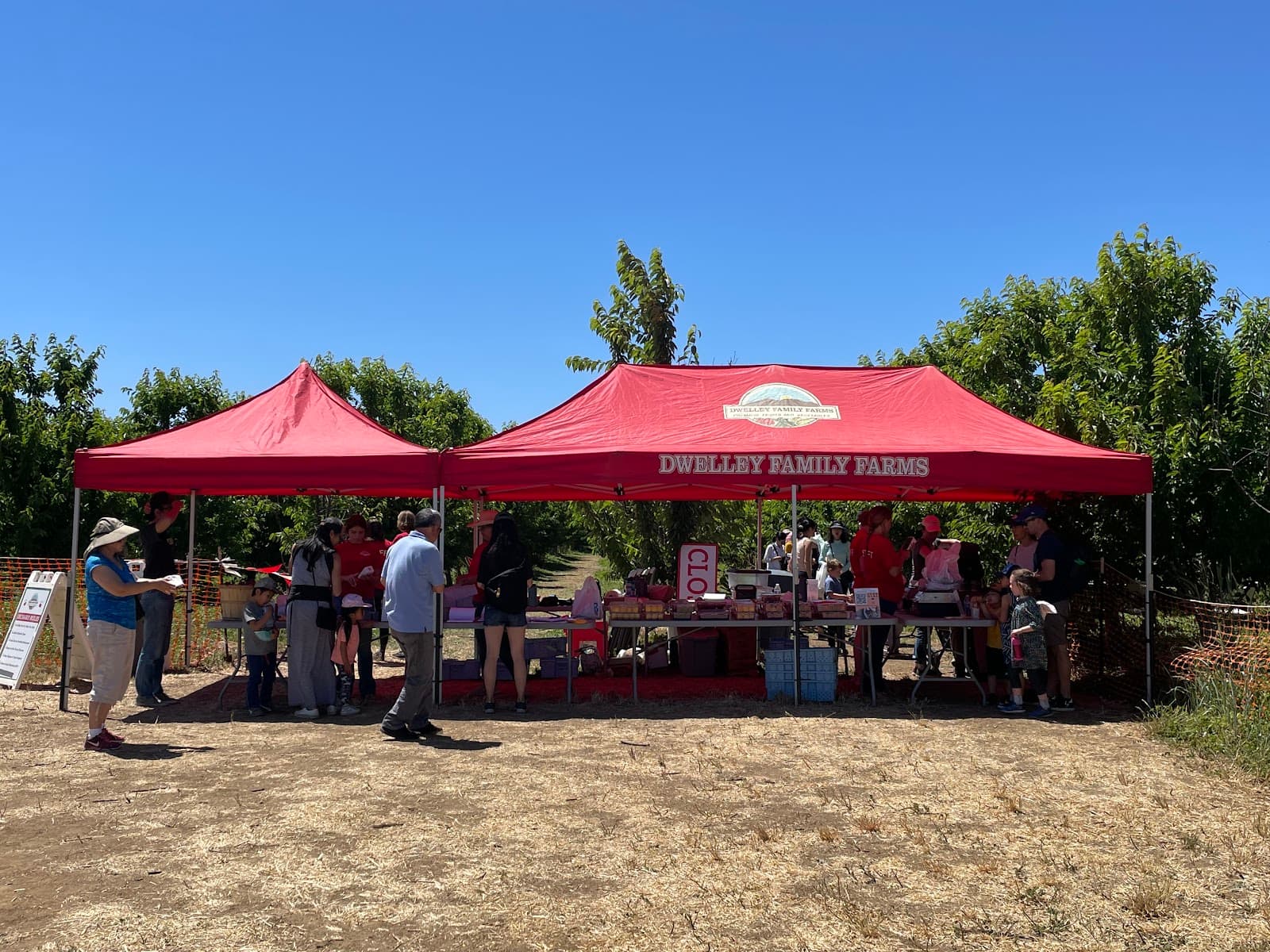 Dwelley Family Farms u-pick farm