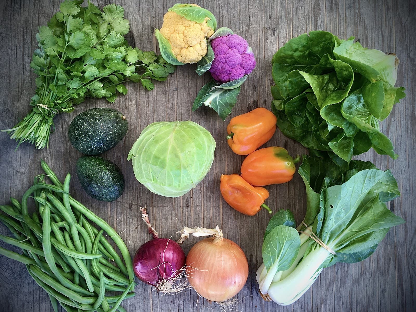 Halcyon Farms u-pick farm