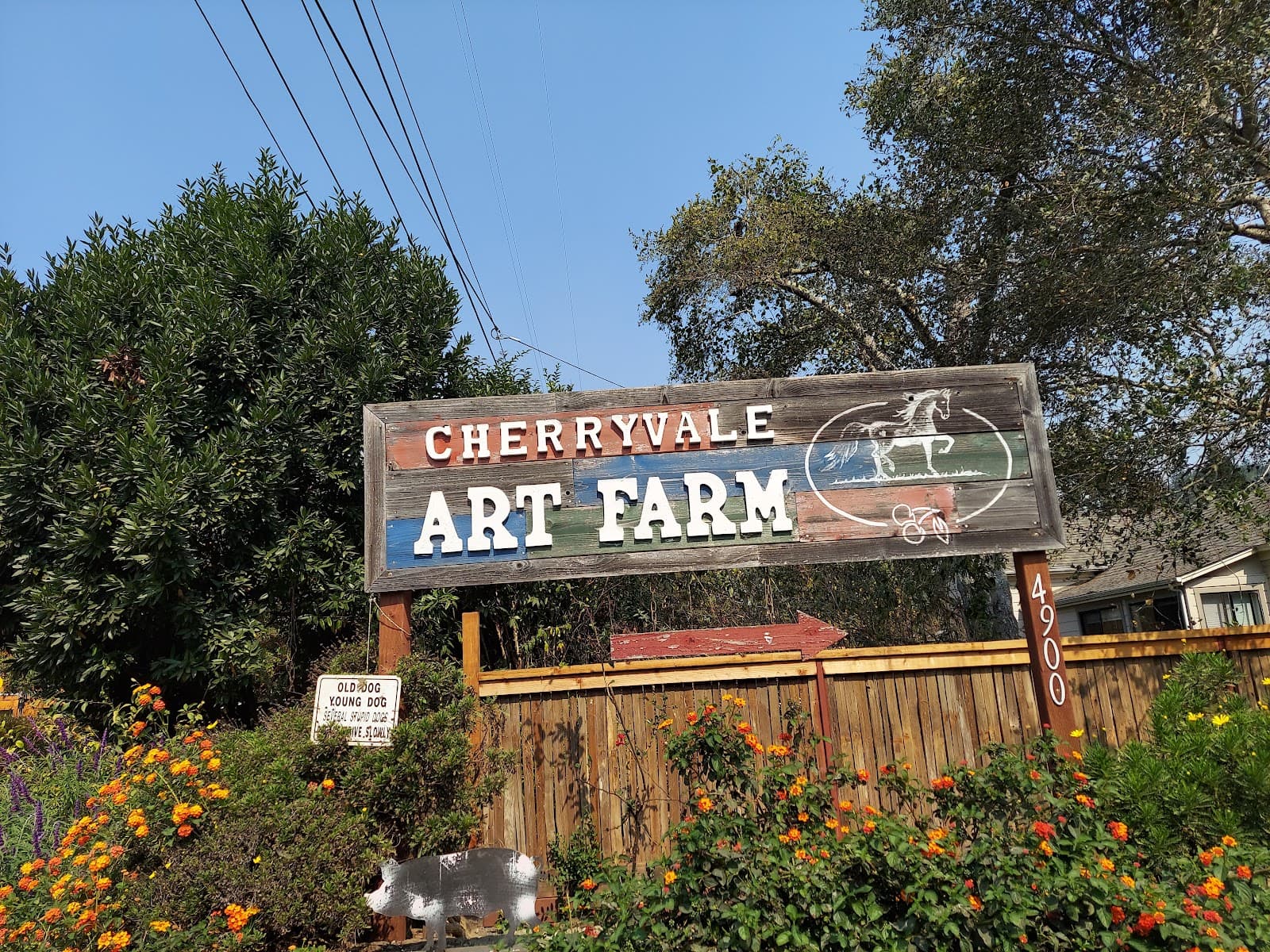 Heather & Kent (Soquel U-Pick) u-pick farm