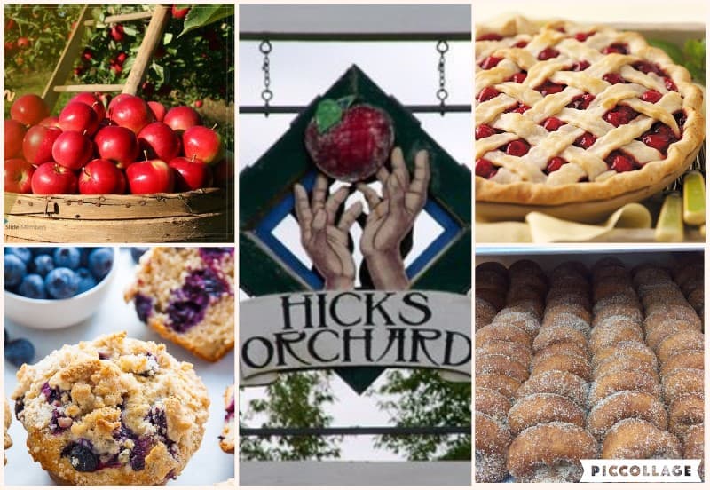 Hicks Orchard u-pick farm
