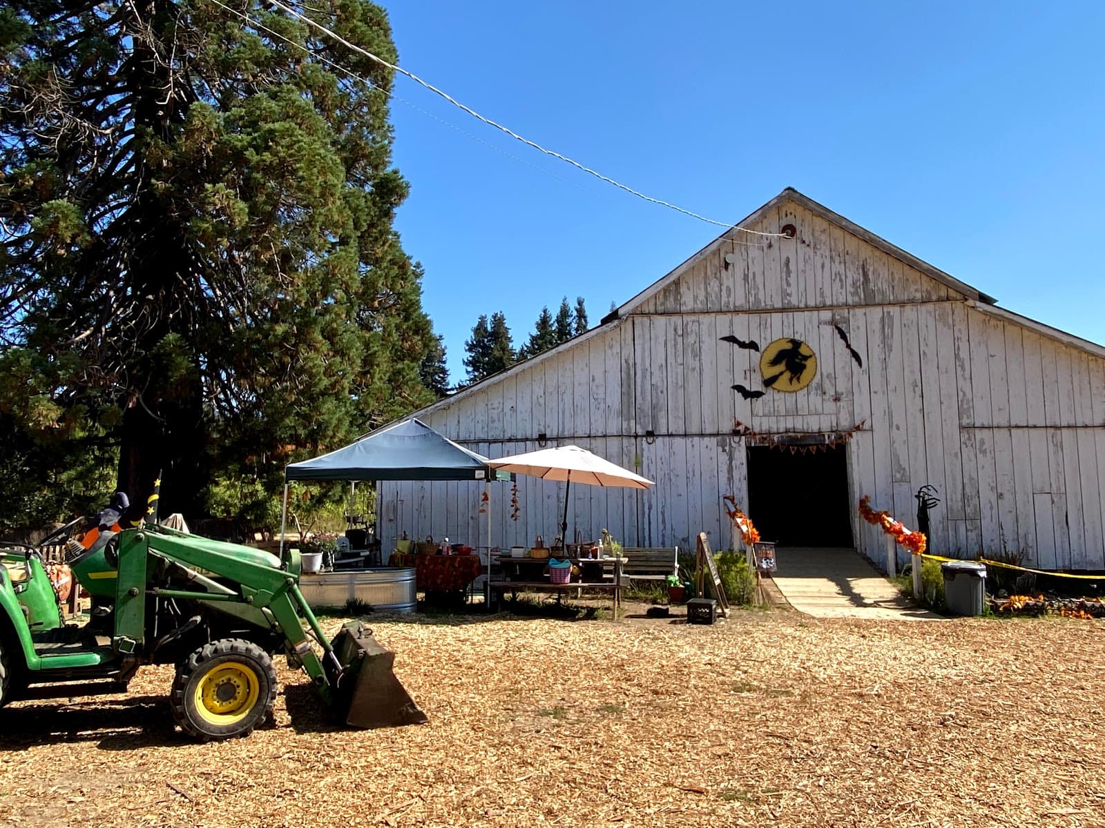 Luz del Valle Farm u-pick farm