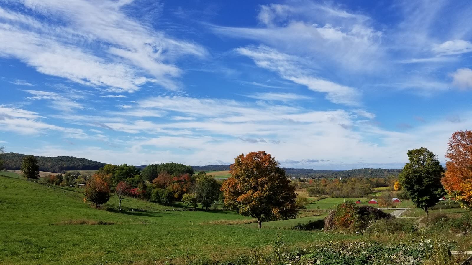 Perry's Orchard u-pick farm