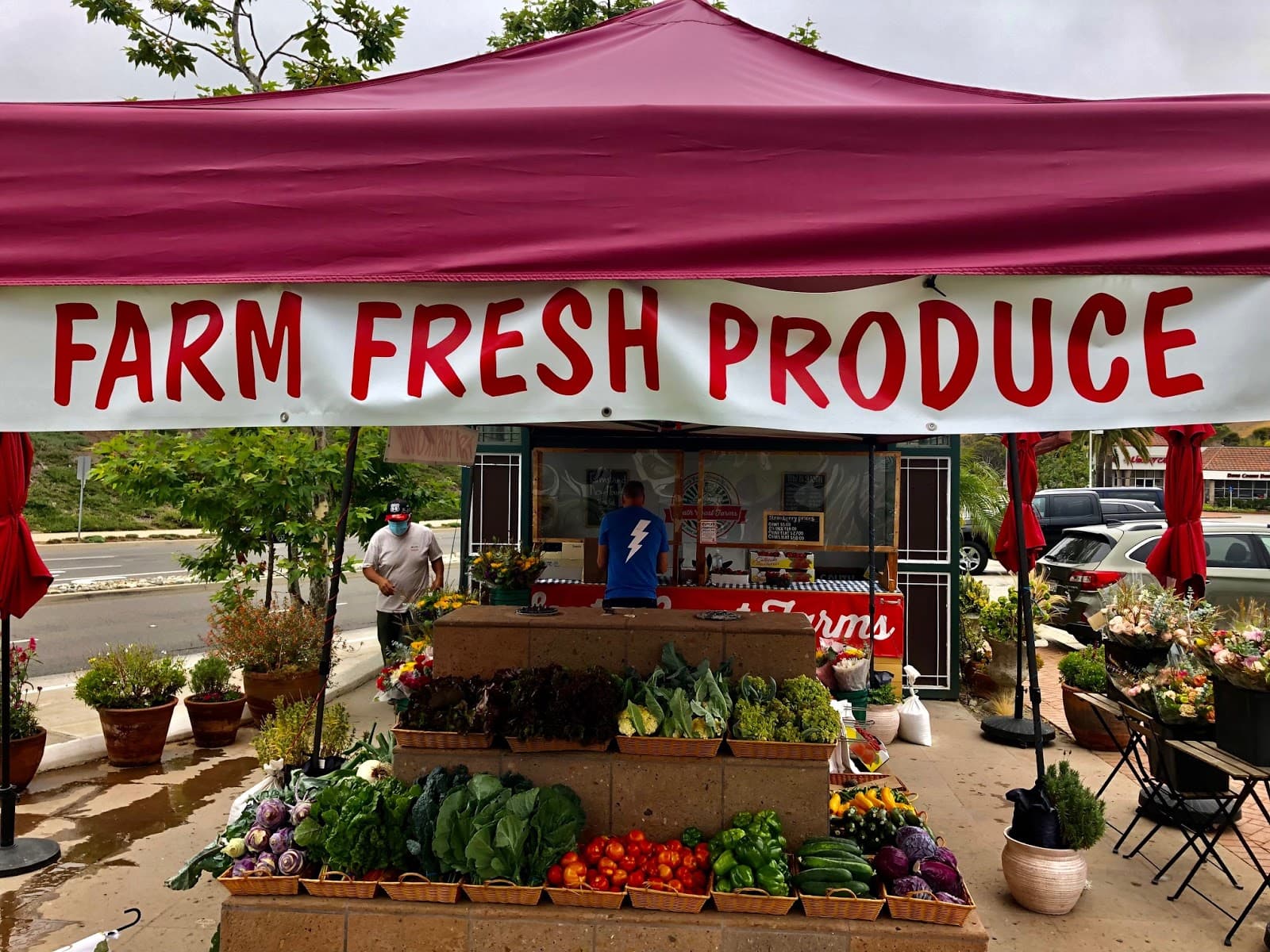 South Coast Farms u-pick farm
