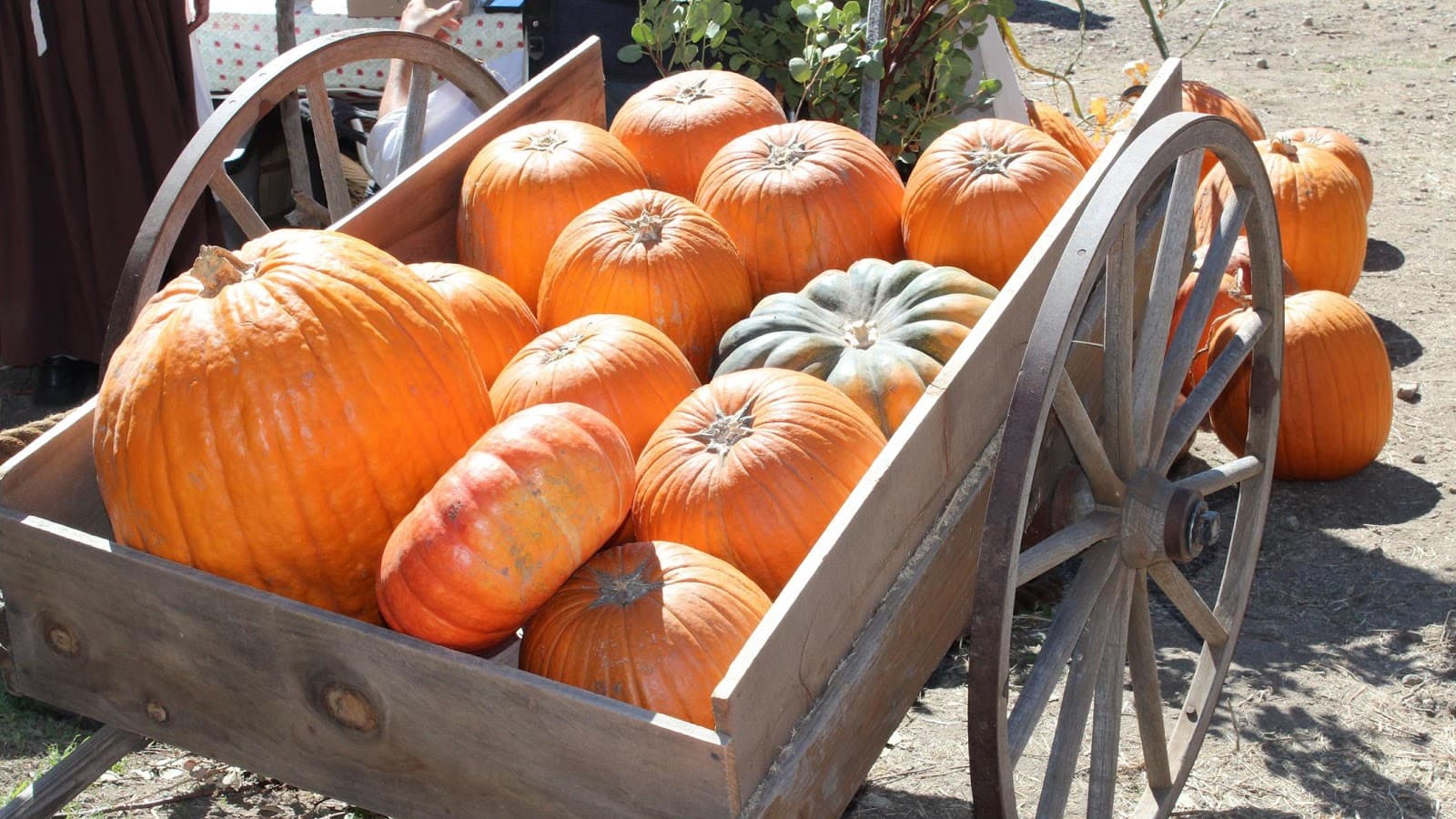 Stone Pantry Orchard u-pick farm
