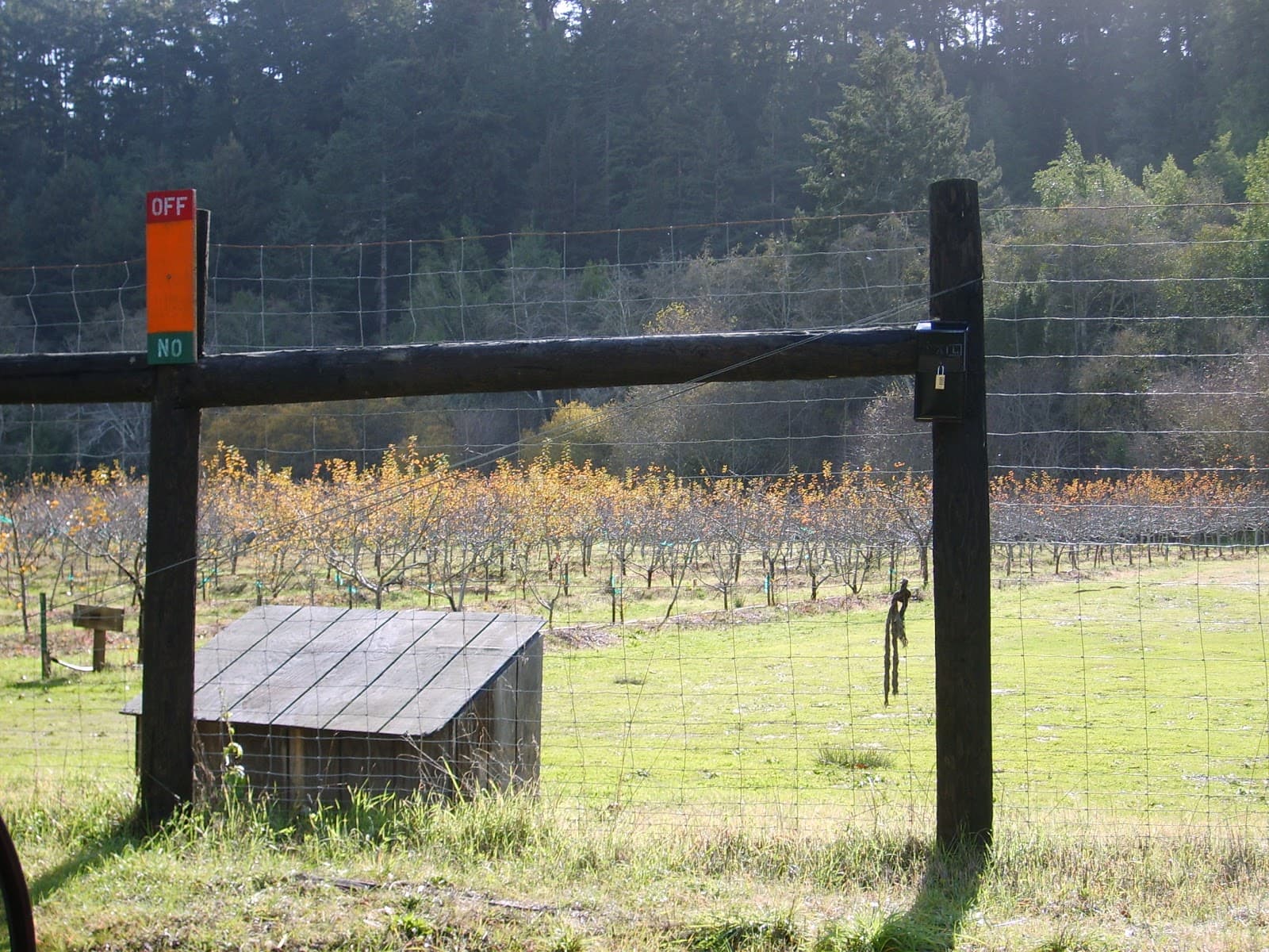 Swanton Pacific Ranch U-Pick Apples u-pick farm