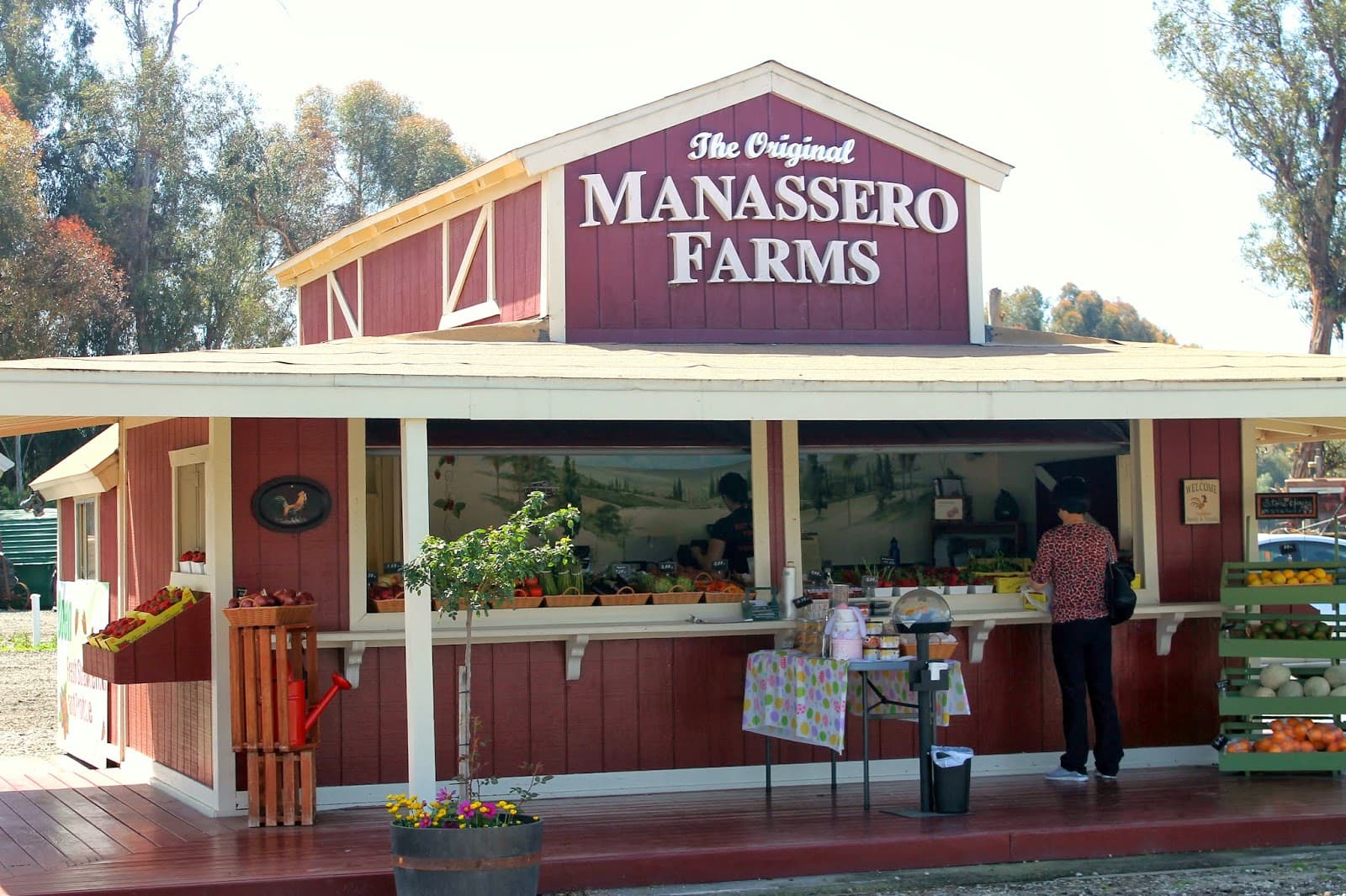 The Original Manassero Farms u-pick farm