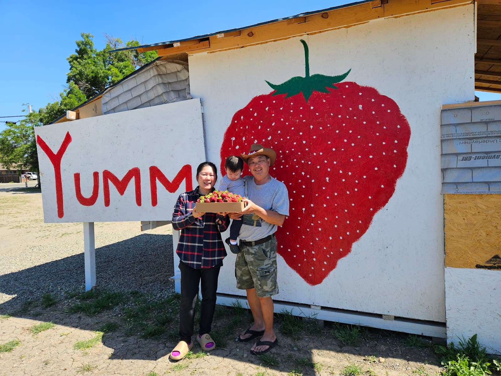 Yumm Strawberry West Sacramento u-pick farm