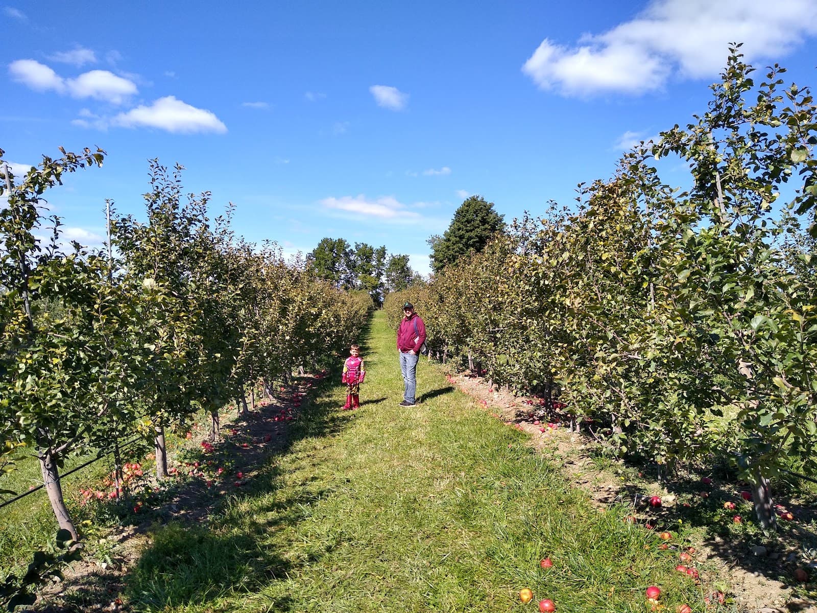 Adams Acres Farm u-pick farm