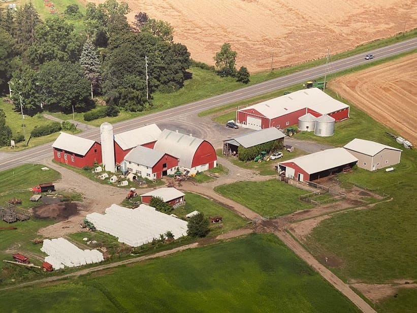 Cayuga Sunrise Farm u-pick farm