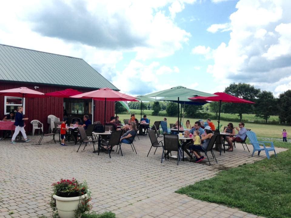 Critz Farms and Critz Farms Brewing & Cider Co. u-pick farm