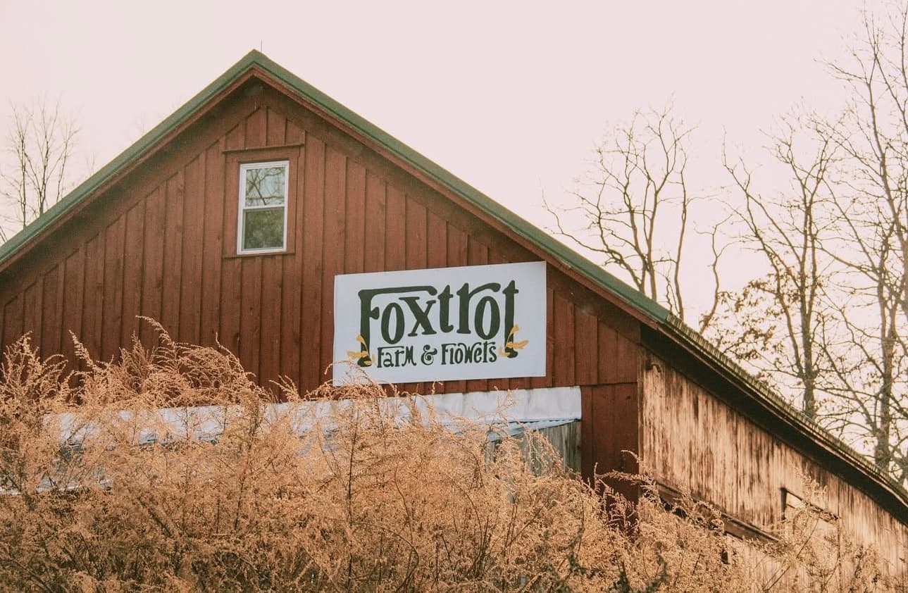 Foxtrot Farm & Flowers u-pick farm