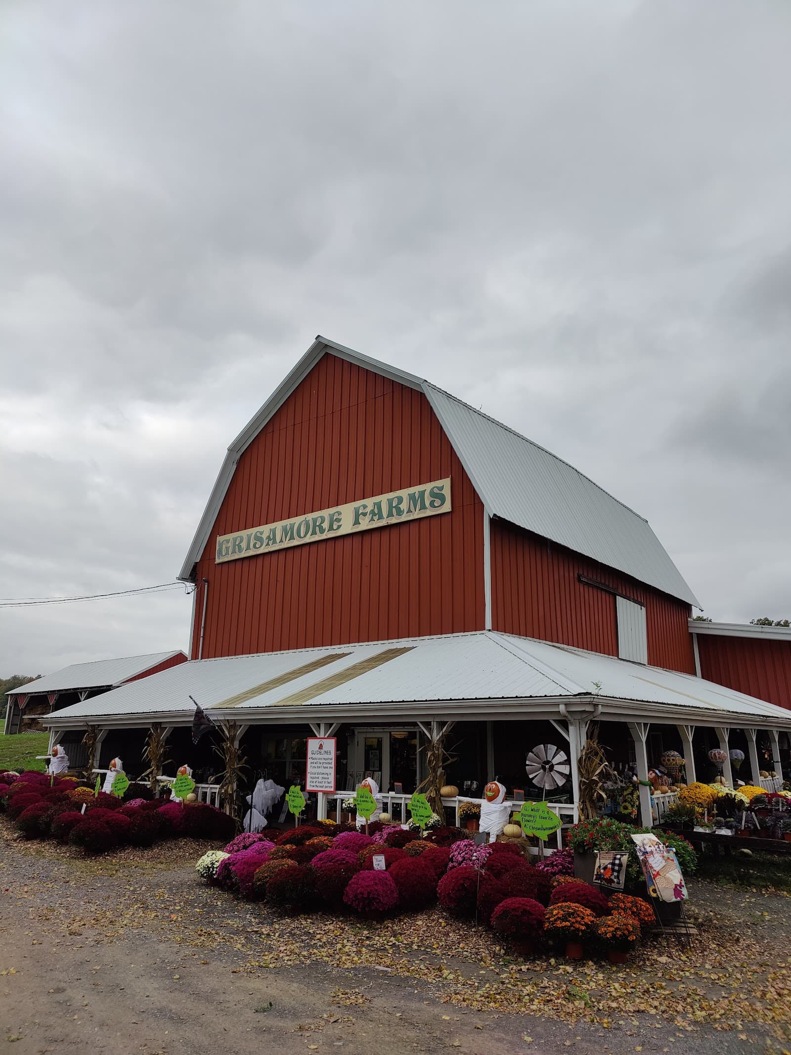 Grisamore Farms u-pick farm