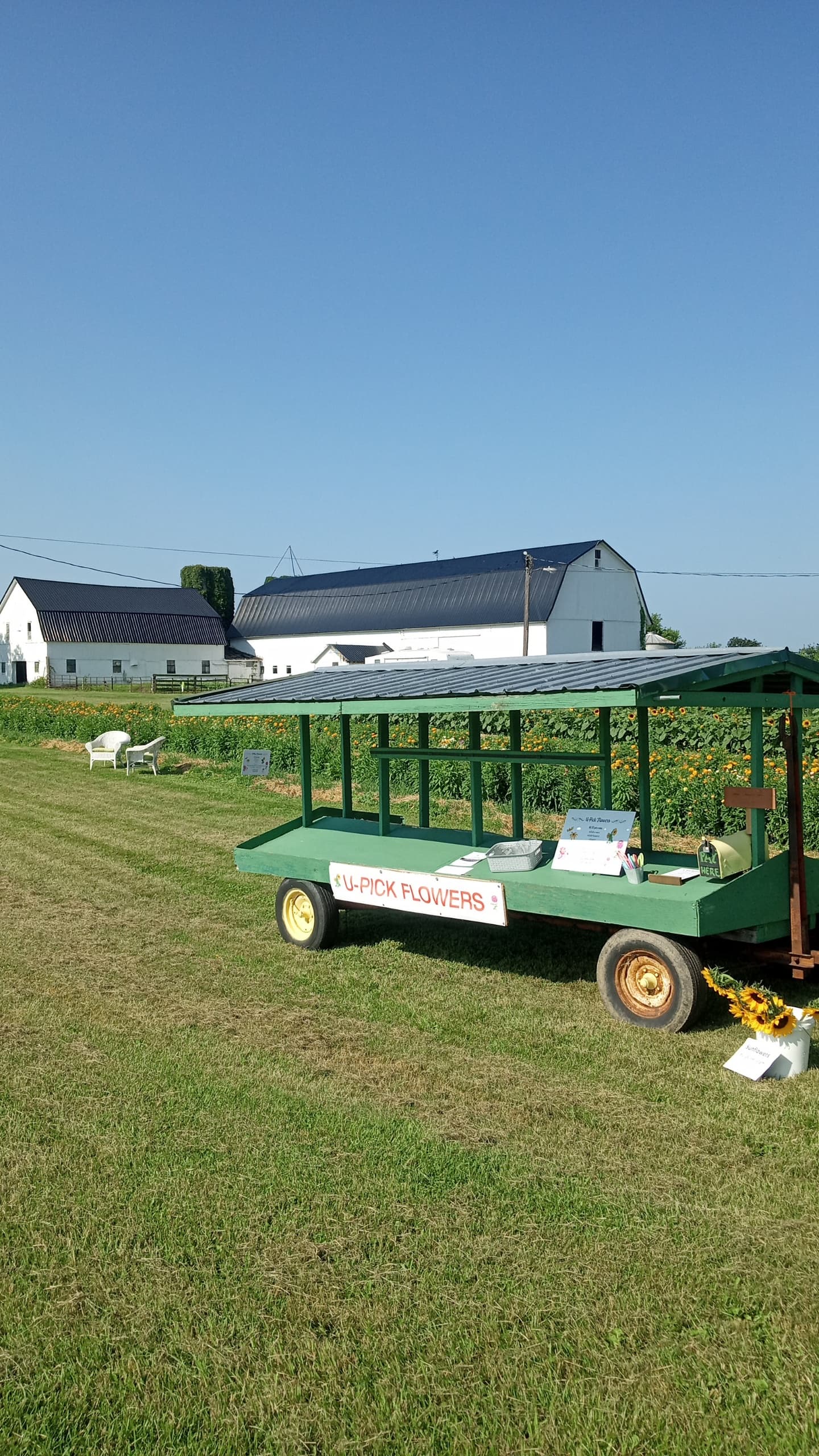 J.D. Steele Farm u-pick farm