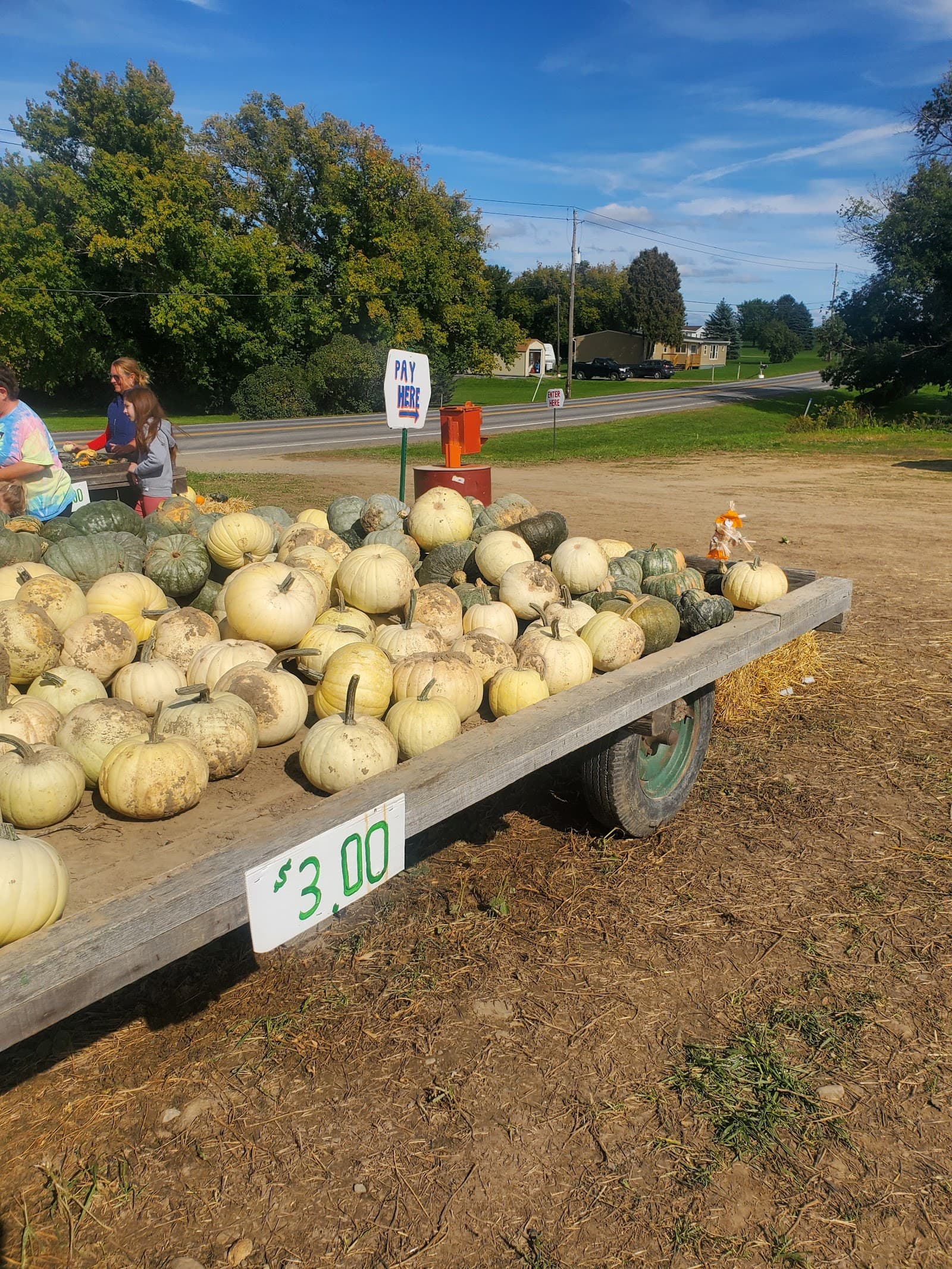 Lilyea Farms u-pick farm