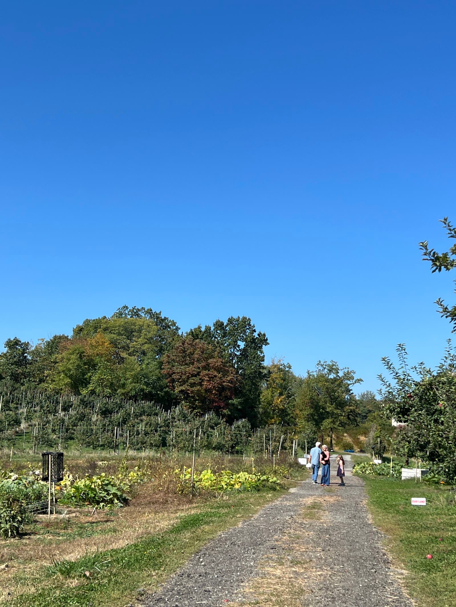 Locust Grove Fruit Farm u-pick farm