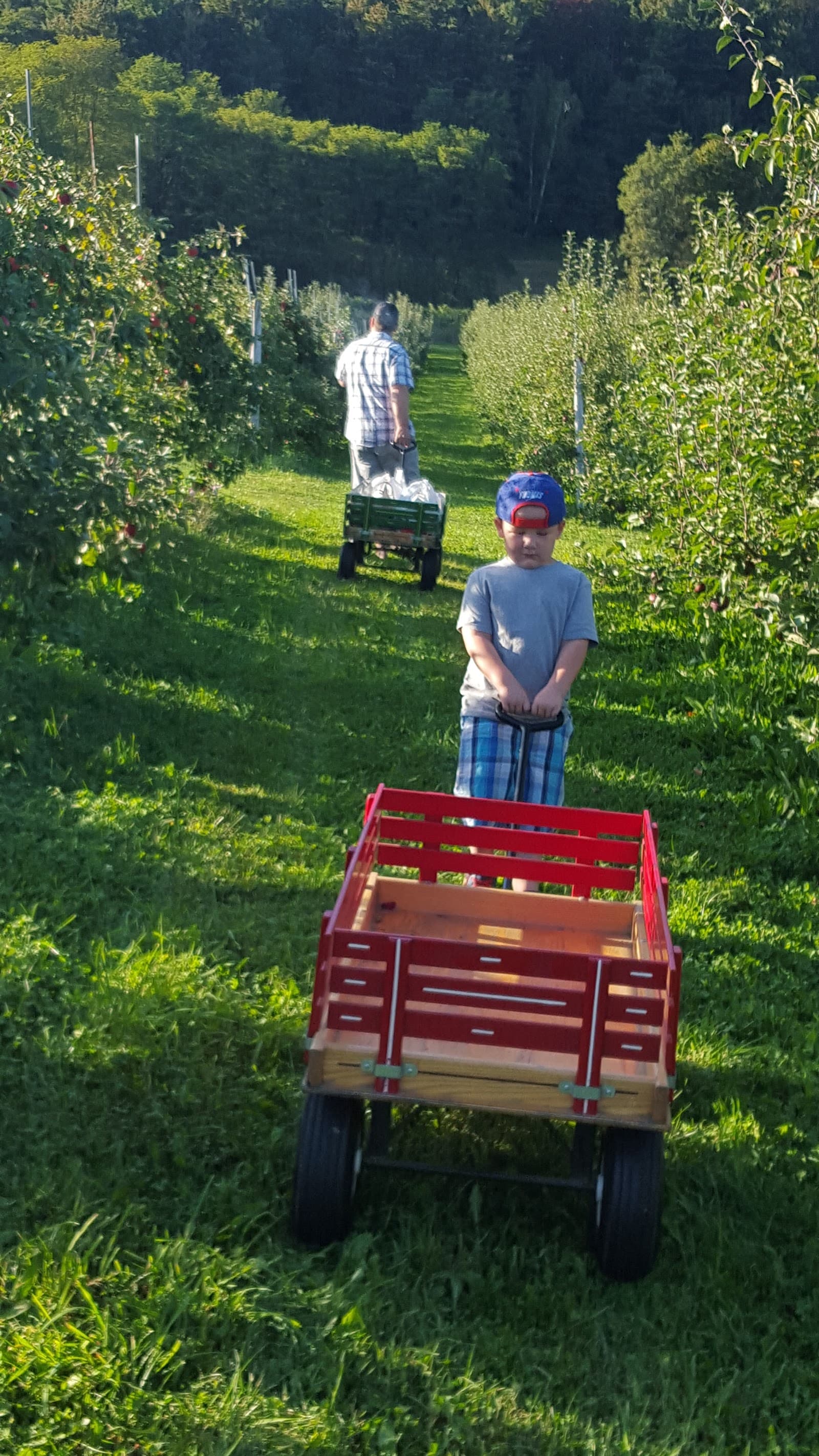 Middlefield Orchard u-pick farm