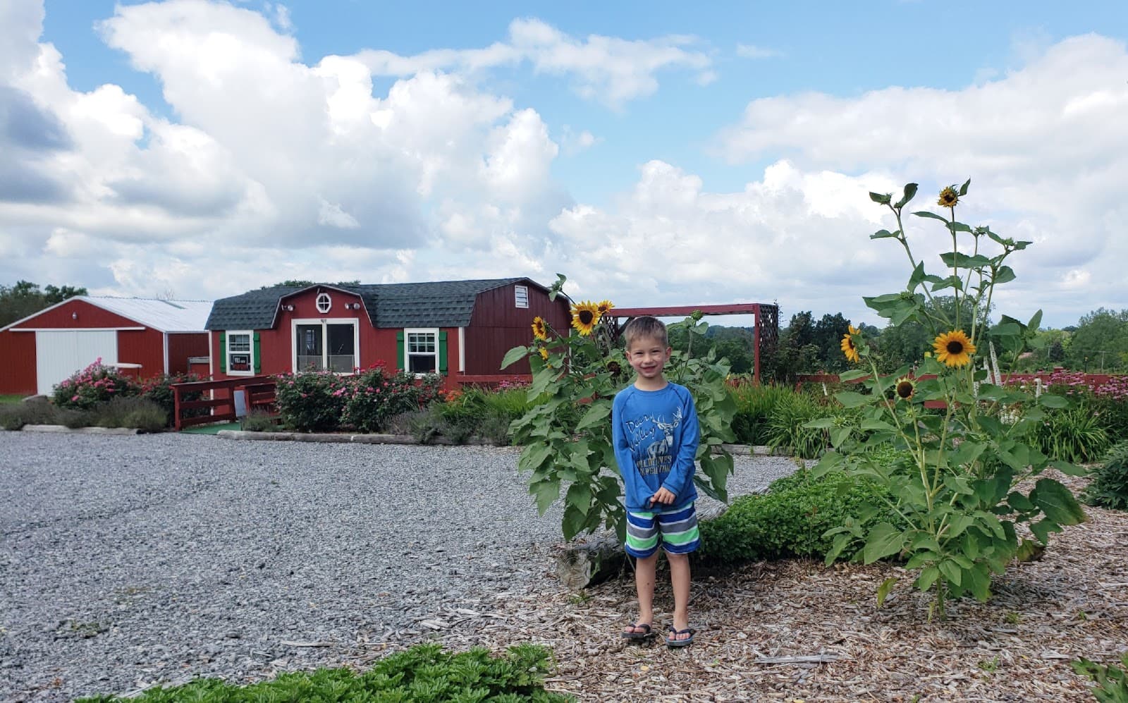 Olde Silo Farm u-pick farm