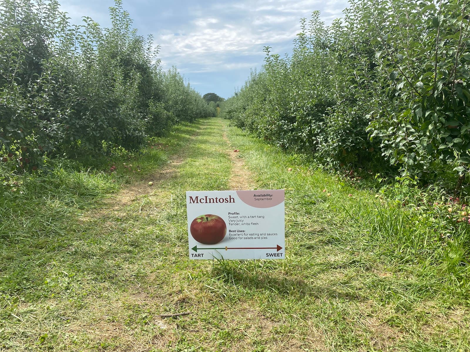 Pennings Orchard u-pick farm