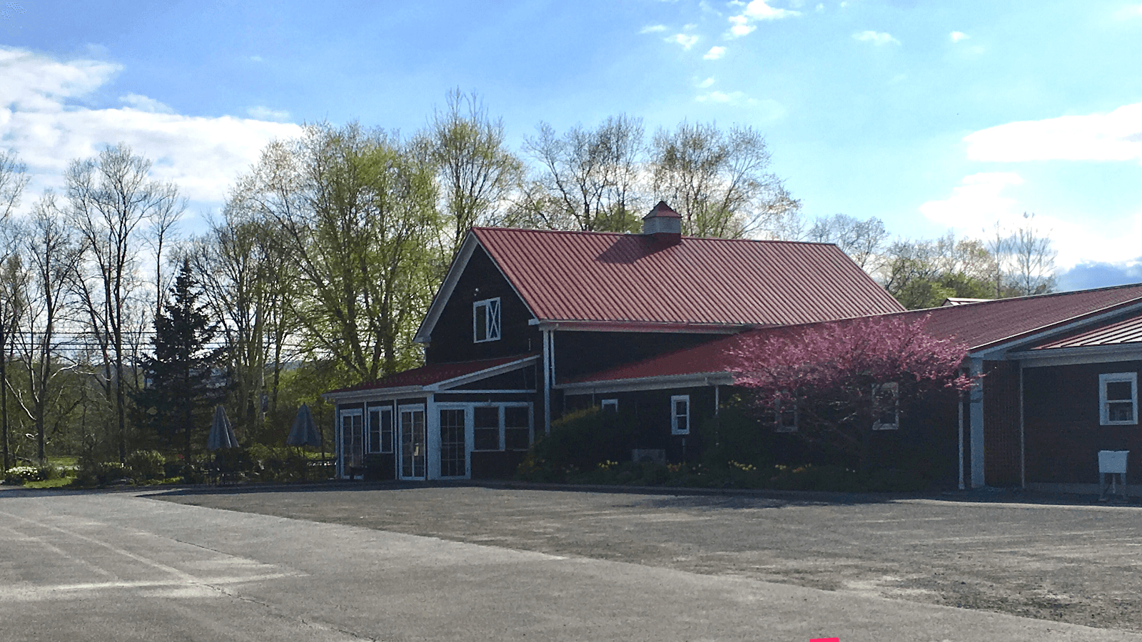Saunderskill Farms u-pick farm