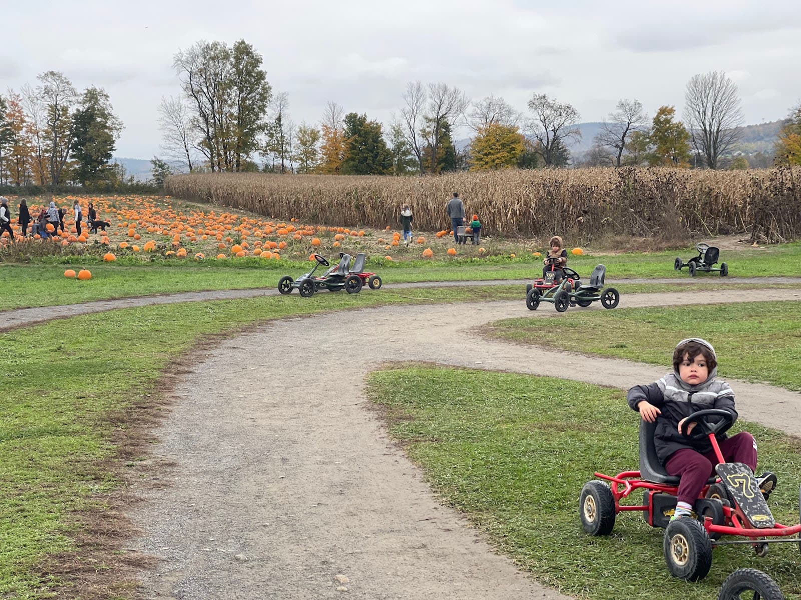 Springside Farm u-pick farm